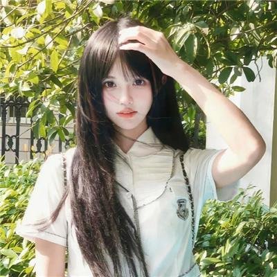 黄叶舞青风