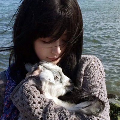 军犬麦克斯2:白宫英雄